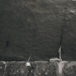 Uno sguardo d’insieme